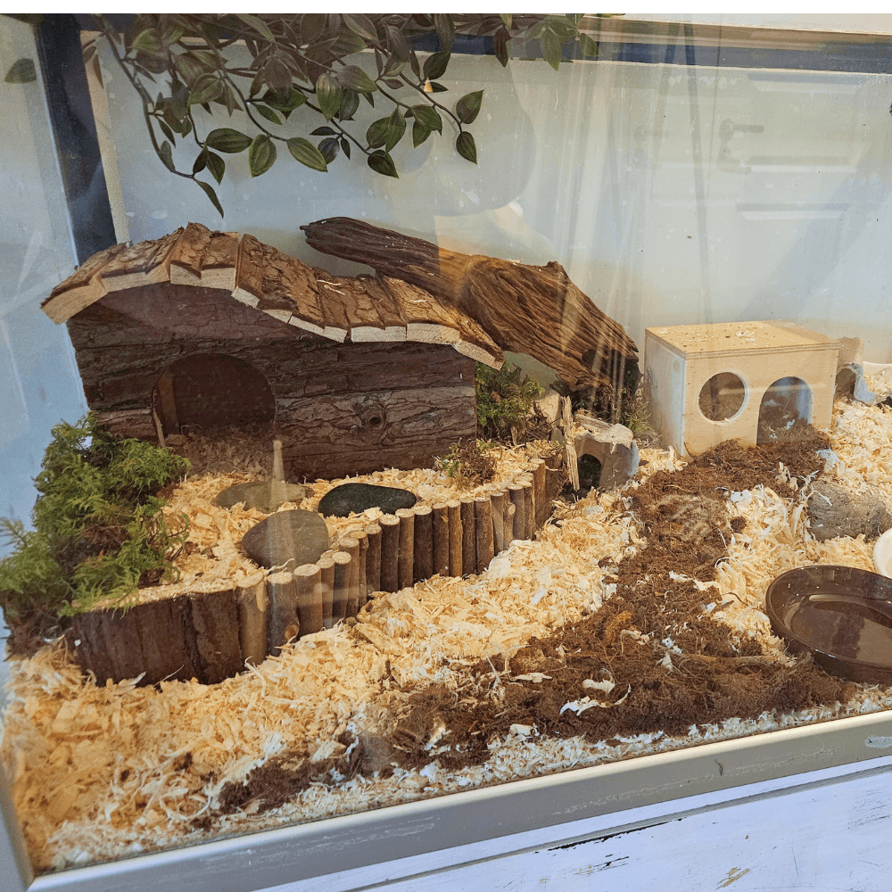 Hamster i träkoja